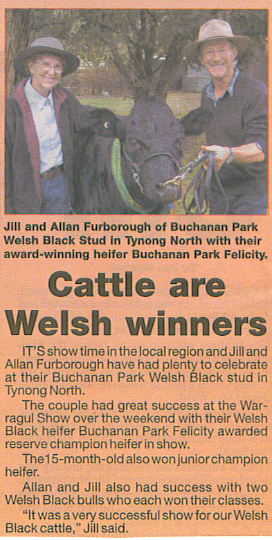 Buchanan Park Welsh Black Cattle Breeding farm Stud Bulls Heifers for sale welsh black cattle breeding farm Victoria Australia